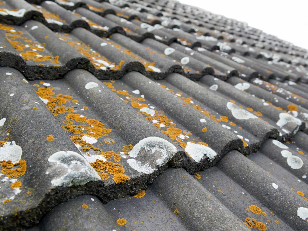 Dirty concrete roof tiles covered in orange and white lichen growth needing roof cleaning